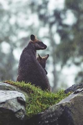 Book cover for A Kangaroo and her Baby Roo on A Rocky Pasture Journal