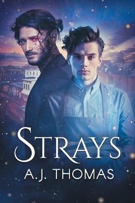 Book cover for Strays