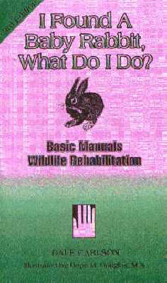 Book cover for I Found a Baby Rabbit, What Do I Do?