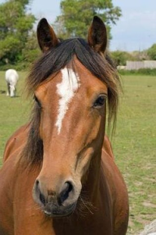 Cover of Horse Portrait (200 Page Lined Journal)