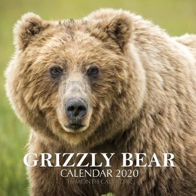 Book cover for Grizzly Bear Calendar 2020