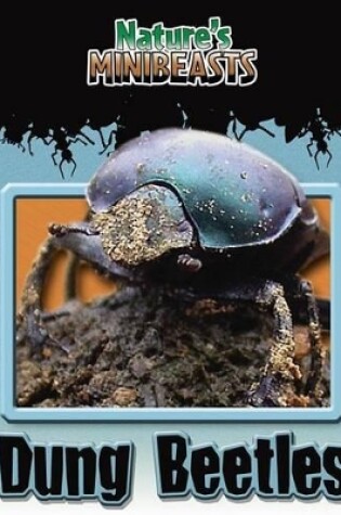 Cover of Dung Beetles