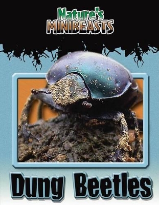 Book cover for Dung Beetles