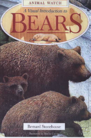 Cover of A Visual Introduction to Bears
