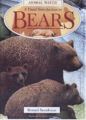 Book cover for A Visual Introduction to Bears