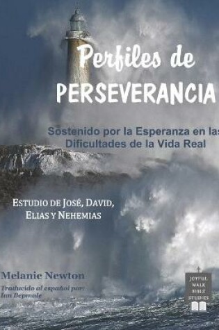 Cover of Perfiles de Perseverancia