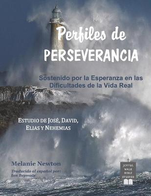Book cover for Perfiles de Perseverancia