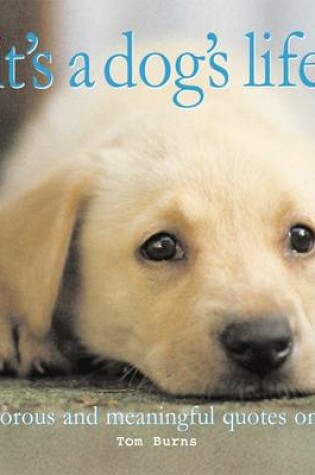 Cover of Talking Dogs