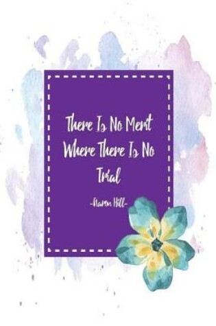 Cover of There Is No Merit Where There Is No Trial