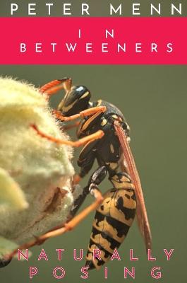Book cover for In-Betweeners