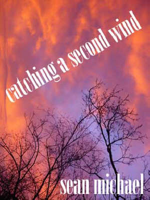 Book cover for Catching a Second Wind