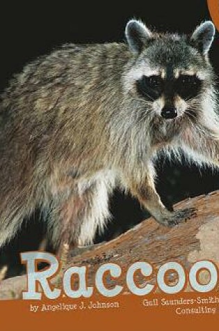 Cover of Raccoons