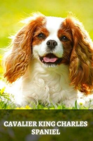 Cover of Cavalier King Charles Spaniel