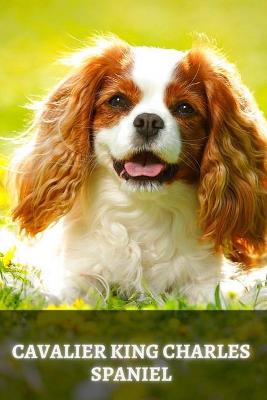 Book cover for Cavalier King Charles Spaniel