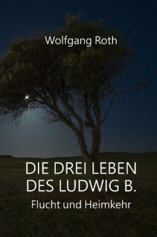 Cover of Die drei Leben des Ludwig B.