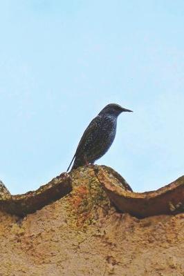 Book cover for Starling on the Roof Journal