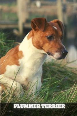 Book cover for Plummer Terrier