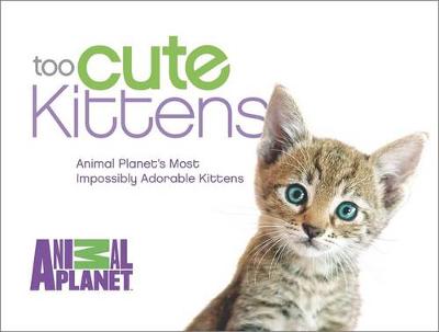 Book cover for Too Cute Kittens