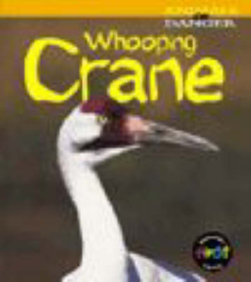 Book cover for Animals in Danger: Whooping Crane (Cased)