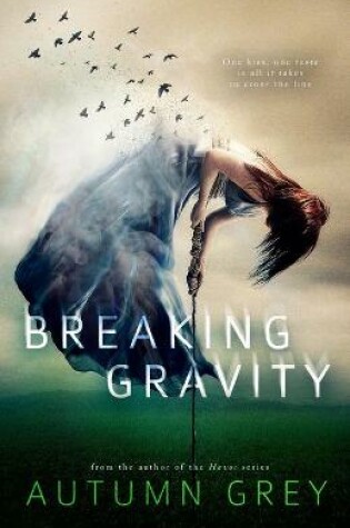 Cover of Breaking Gravity