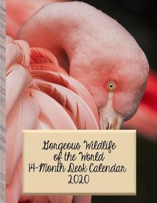 Book cover for Gorgeous Wildlife of the World 14 Month Desk Calendar 2020