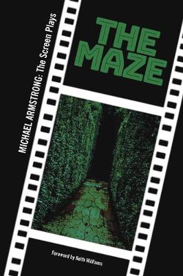 Book cover for The Maze