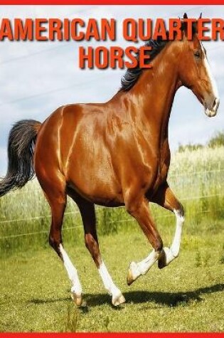 Cover of American Quarter Horse