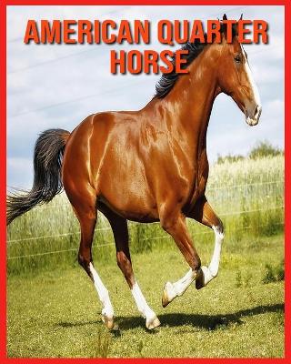 Book cover for American Quarter Horse