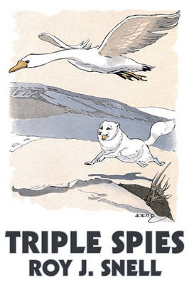 Book cover for Triple Spies by Roy J. Snell, Fiction, Action & Adventure