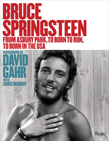 Book cover for Bruce Springsteen