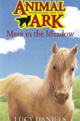 Cover of Mare in the Meadow