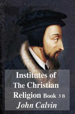 Book cover for Institutes of the Christian Religion Book 3b