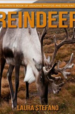 Cover of Reindeer