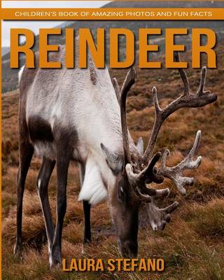 Book cover for Reindeer