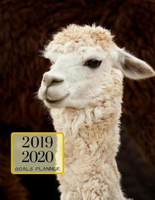 Book cover for 2019 2020 Llama Alpaca 15 Months Daily Planner