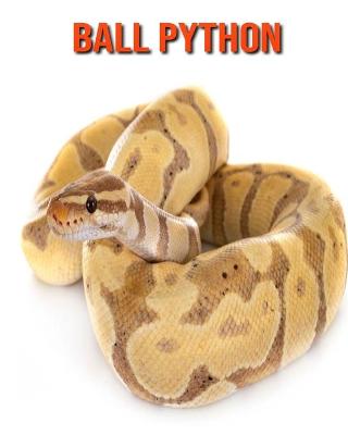 Book cover for Ball Python