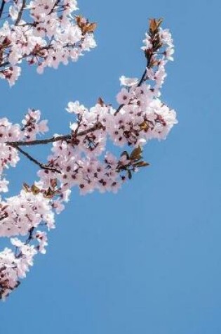 Cover of Pink Cherry Blossoms in the Blue Sky