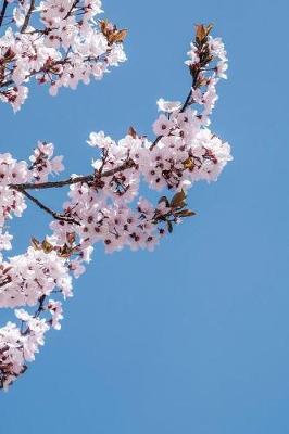 Book cover for Pink Cherry Blossoms in the Blue Sky