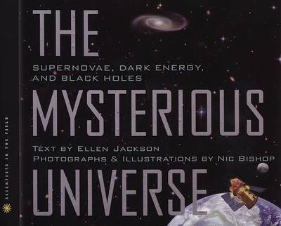 Book cover for Mysterious Universe