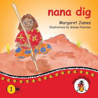 Book cover for nana dig