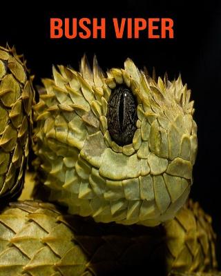 Book cover for Bush Viper