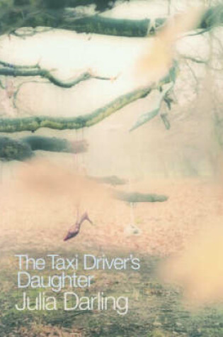 Cover of The Taxi Driver's Daughter