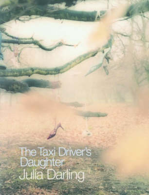 Book cover for The Taxi Driver's Daughter