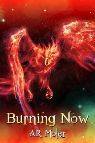 Cover of Burning Now