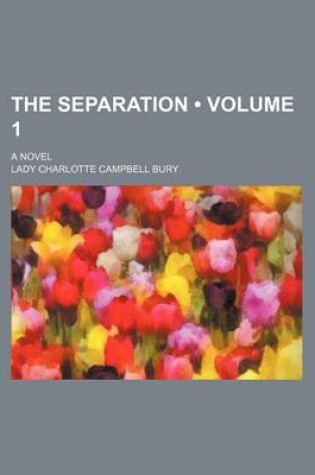 Cover of The Separation (Volume 1); A Novel