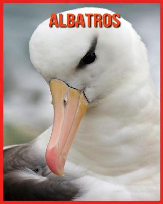 Book cover for Albatros