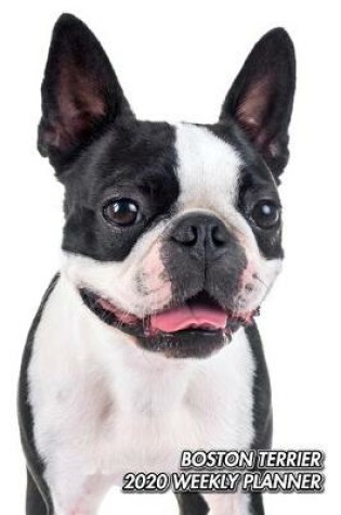 Cover of Boston Terrier 2020 Weekly Planner