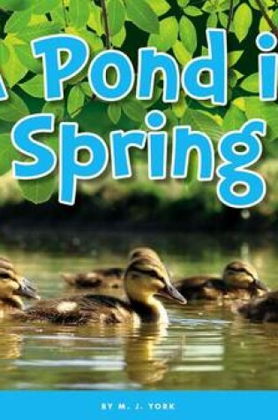 Cover of A Pond in Spring