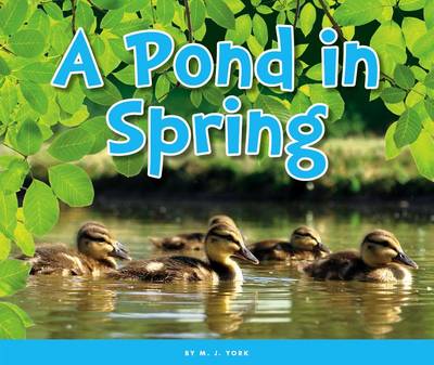 Cover of A Pond in Spring
