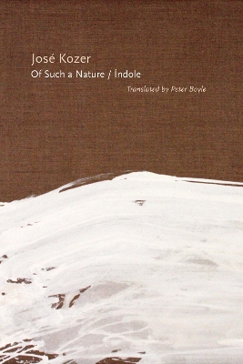 Book cover for Of Such a Nature/Índole